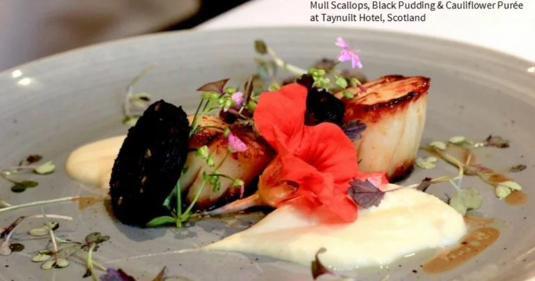 Scallops Black Pudding Cauliflower Puree